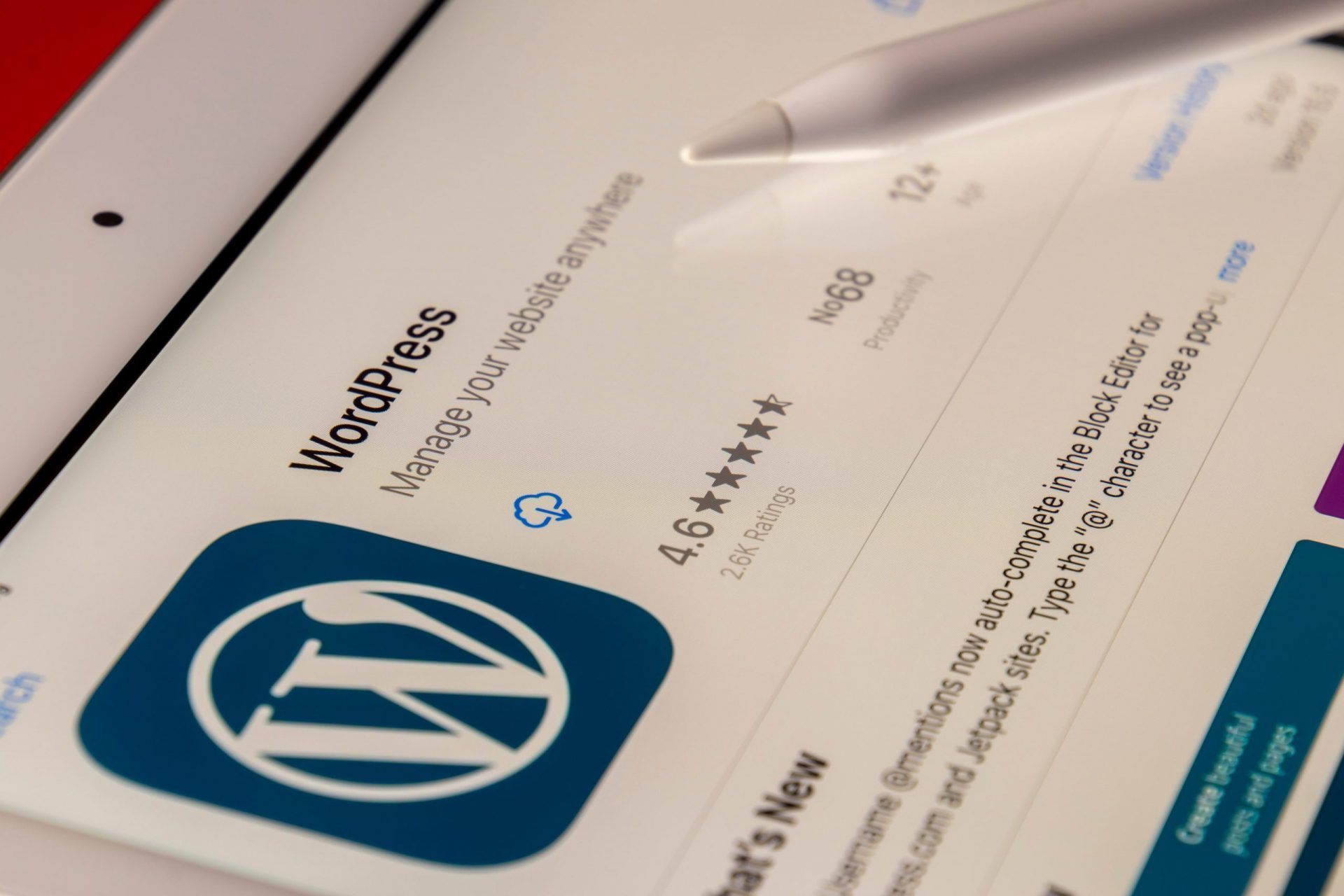 Understanding WordPress: Content and Design