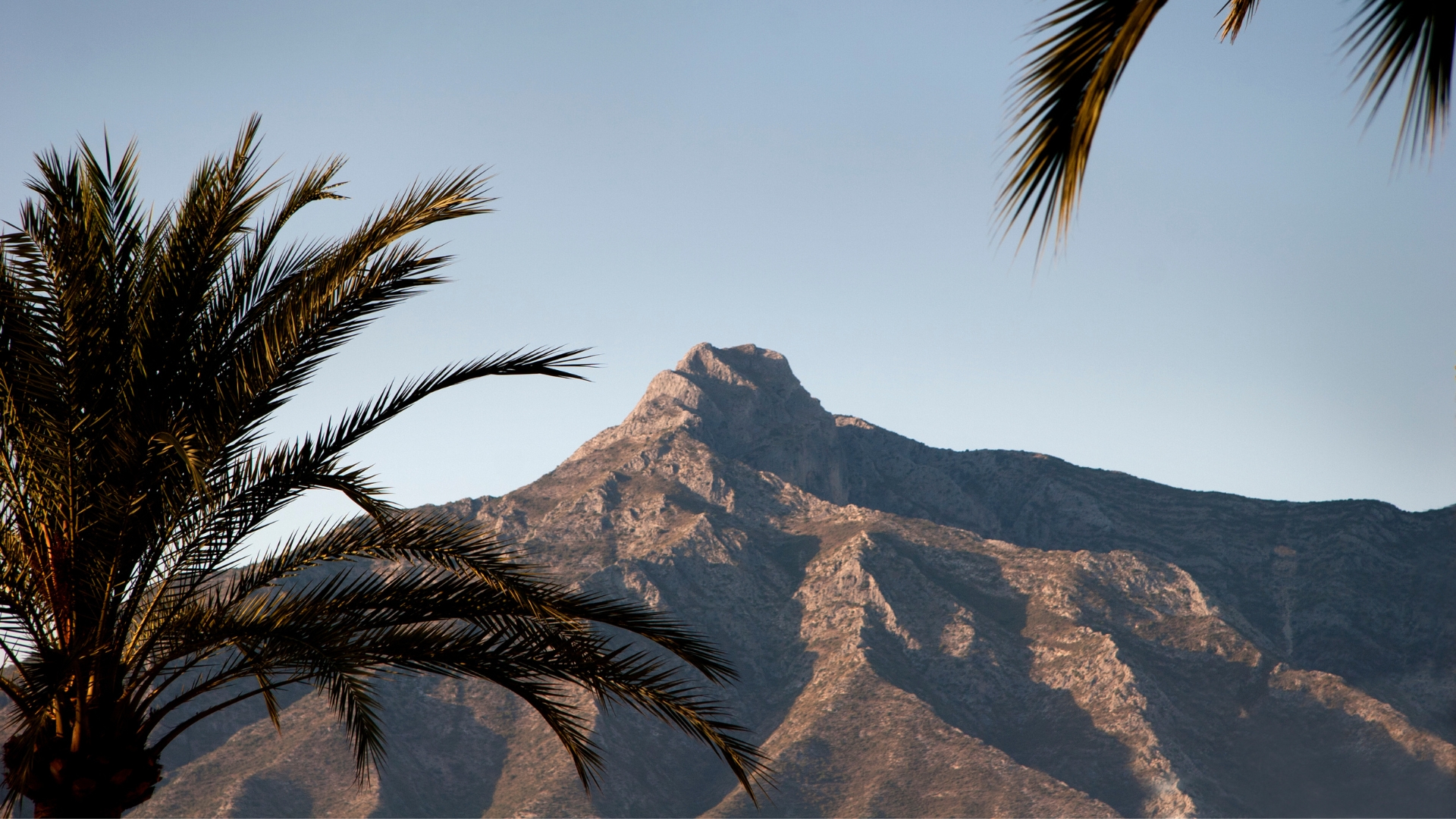 MIUC Marbella lifestyle partners
